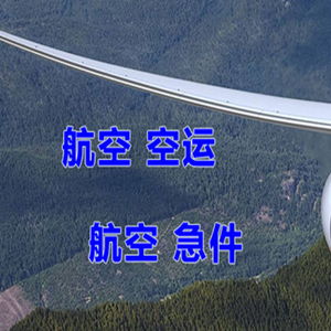 河池金城江空运代理快递-选东方航空和上海航空